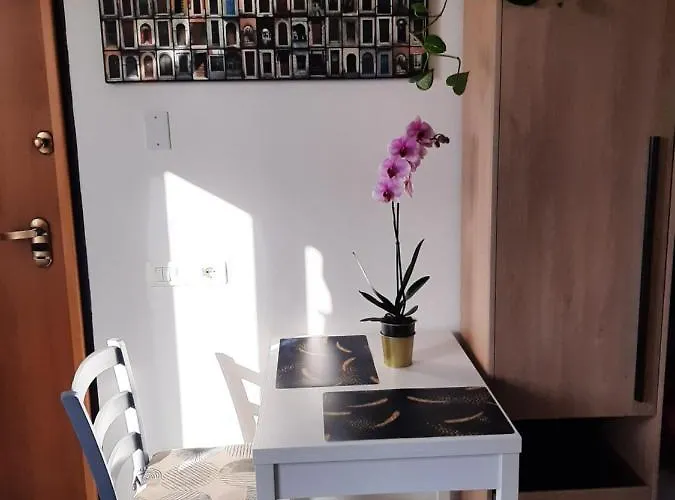 Vinessa Apartamento